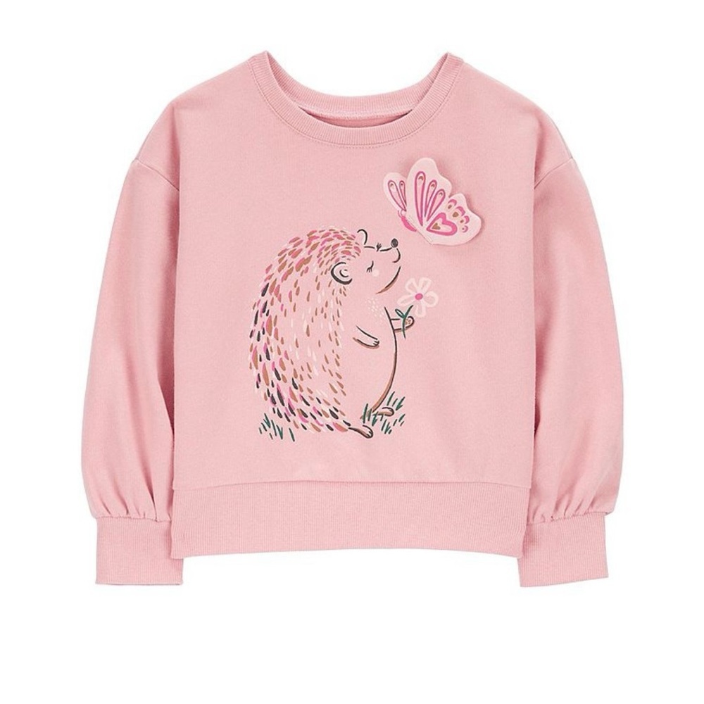 Carter’s Girls 24M Pink Hedgehog Butterfly‎ Sweatshirt Cozy Pullover